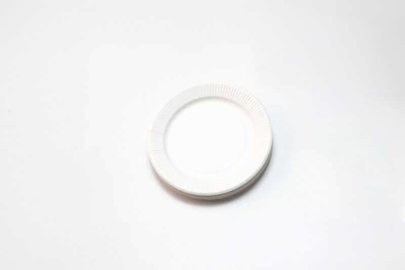紙皿(30枚)