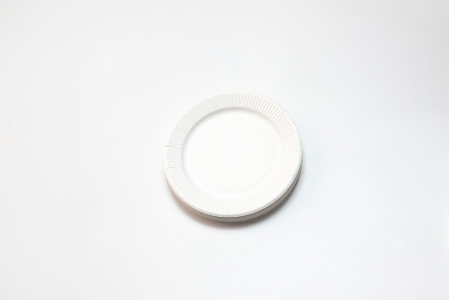 紙皿(30枚)